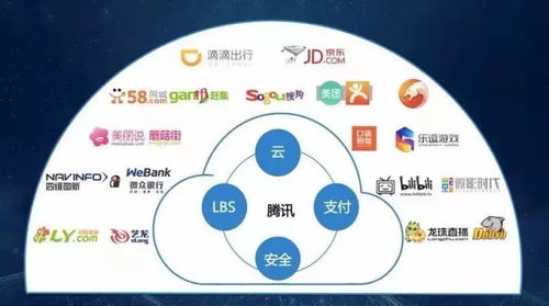 CMO，你还快乐吗？软件开发中的领导力挑战与平衡艺术
